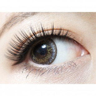 RICH STANDARD MuchBrown 日拋10片裝